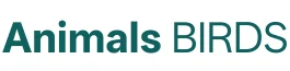Animals BIRDS