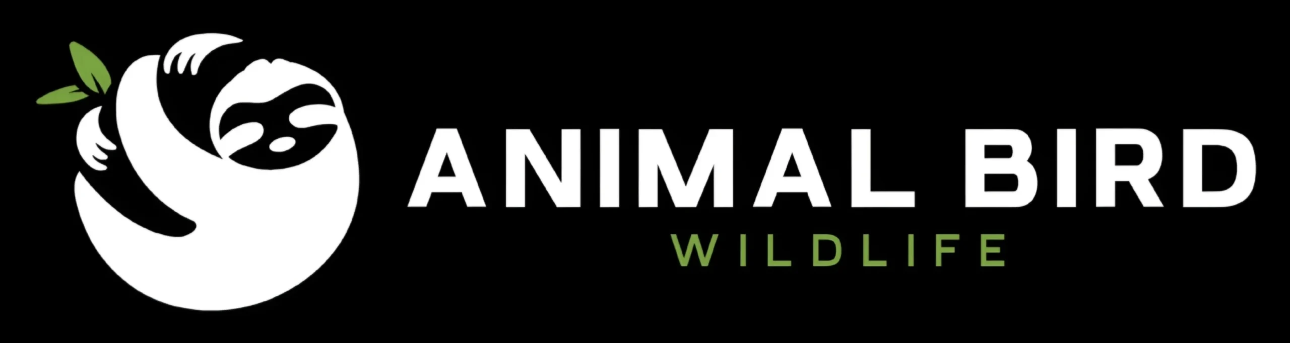 Animal Bird Wildlife